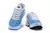 Nike Air Max Tn Plus 'White/Blue' na internet