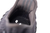 Adidas Yeezy Boost 350 V2 ''Black'' - Pacific outlet