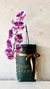 Orquídea Minimalista