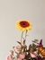 Arranjo Petit - comprar online