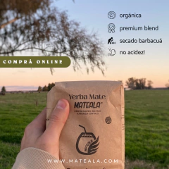 Combo x5 Yerba Mateala 500g - comprar online