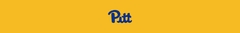 Banner da categoria PITTSBURGH PANTHERS