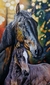 Tela 100x60/ Amor equino