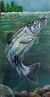 Madeira peixe 29x69