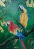Painel 50x70/ arara vermelha e canindé