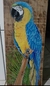 Arara canindé 4 em madeira