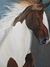 Cavalo pampa 2