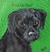 Frederico