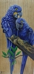 Araras azuis em madeira 29x69