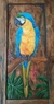 Arara canindé em porta de madeira