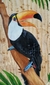 Tucano em madeira