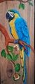 Arara canindé 3 em madeira