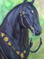 Cavalo Mustang (antigo)
