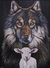 Tela 50x70/ Lobo em pele de cordeiro