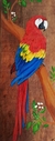 Arara vermelha 2 em madeira