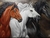 3 Cavalos correndo