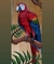 Arara vermelha em madeira