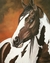 Cavalo Paint Horse