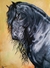 Cavalo Frísio