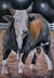Tela 120x70/touro bandido