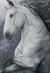 Tela 120x70/ Lusitano na neve