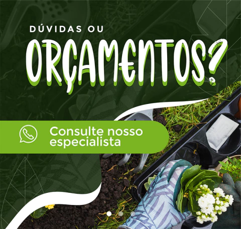 Carrossel 1