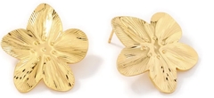 AROS DAISY