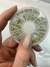Kit Strass