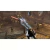 Star Wars The Force Unleashed PlayStation 2 - LucasArts - buy online