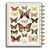 Imagen de Undated Papillon Butterfly Big Daily Planner 4-Months - Happy Planner