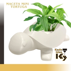 Tortuga Maceta