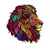 Leão Colorido - comprar online