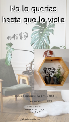 Elefante Familia