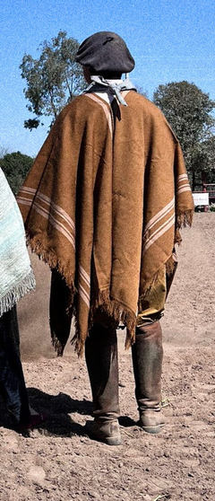 PONCHO ANDINO en internet