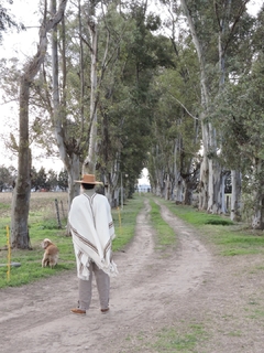 Imagen de PONCHO SALAMANCA