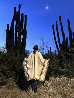 PONCHO SALAMANCA en internet