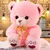 Imagem do Urso de Pelúcia Grande Hugale – Brinquedo de Alta Qualidade, Fofo e Macio | Presente de Aniversário