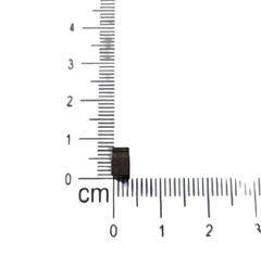 1810114 CEPILLO DE MOTOR DE CARBON 6.2x5.4x3.6mm 10114 en internet