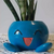 Maceta Oddish