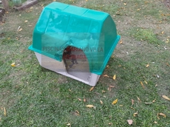 cucha / casa para perro modelo clasico, (medida estandar / chica) ENVIO A CARGO DEL COMPRADOR. - comprar online