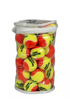 Bolsa de Pelotas Tecnifibre Mini x36