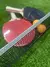 Kit Ping Pong Softee - tienda online