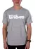 Remera Algodón Wilson Training CCLI - comprar online