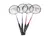 Set Especial Badminton Toalson en internet