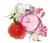 Chanel Chance Eau Tendre EDP 50ml - Farmacia Nobel
