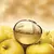 Donna Karan DKNY Be Delicious Golden EDP 100ml - tienda online