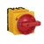 Chave Geral Seccionadora Rotativa Msw 63 P3 H | Weg - comprar online