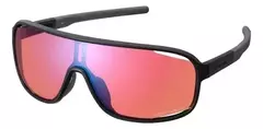 Gafas Shimano Technium Ridescape