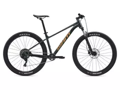 GIANT TALON 2 2025 en internet