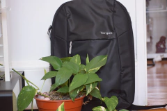 Mochila Targus Intellect Essential 15.6" - $71000.- - comprar online